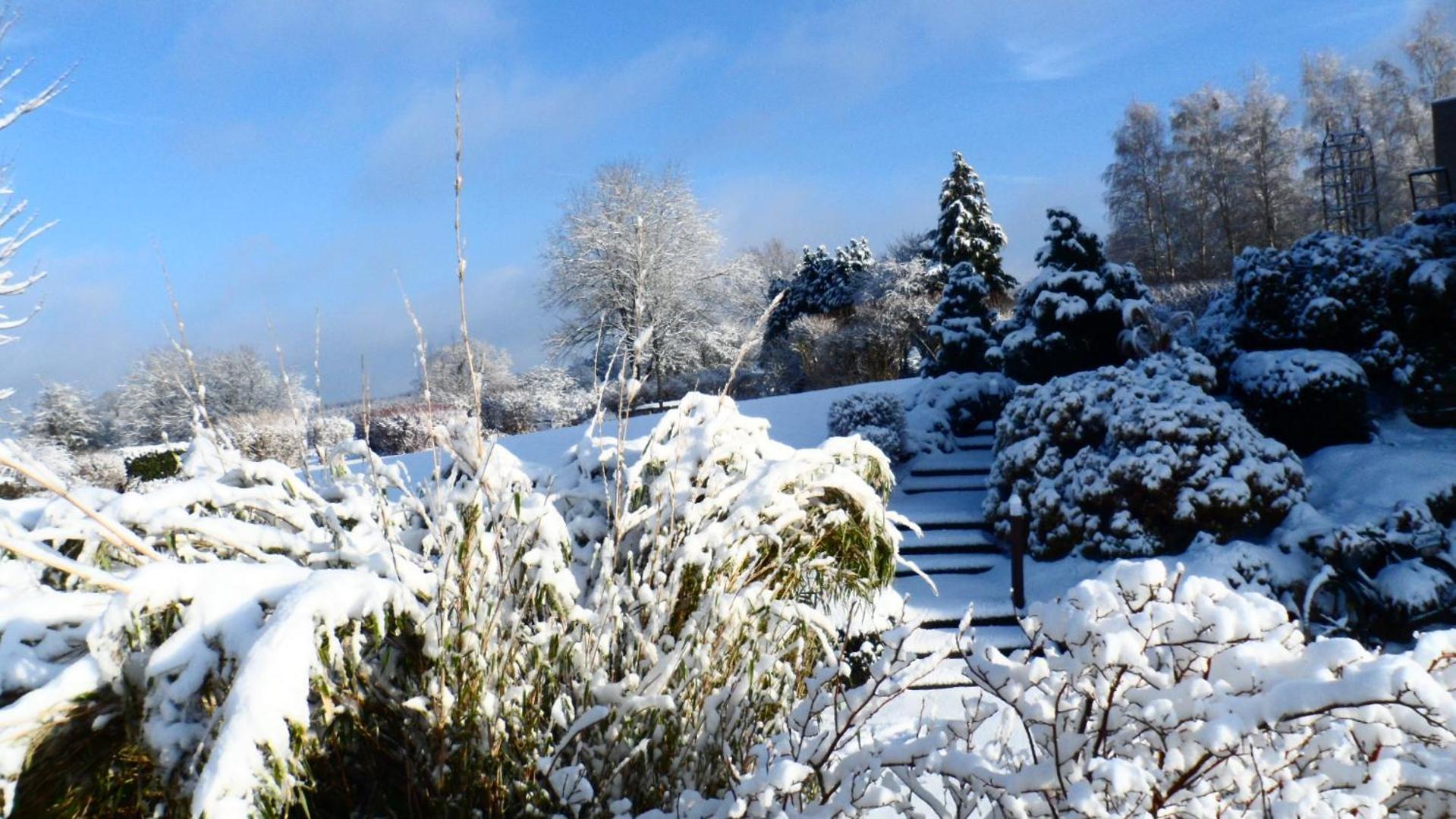 Le Renard'Or Bed & Breakfast Trois-Ponts Exterior photo