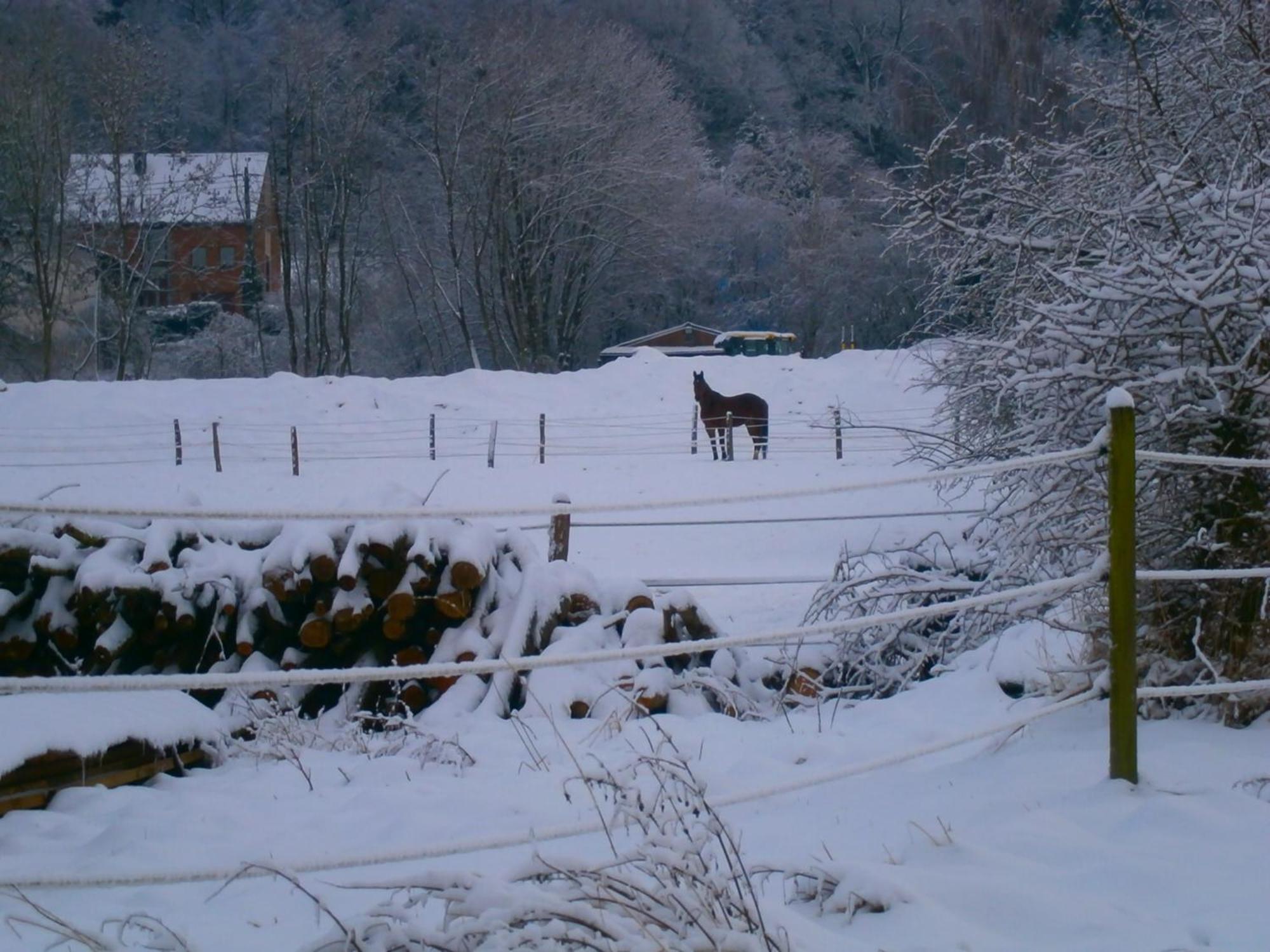 Le Renard'Or Bed & Breakfast Trois-Ponts Exterior photo