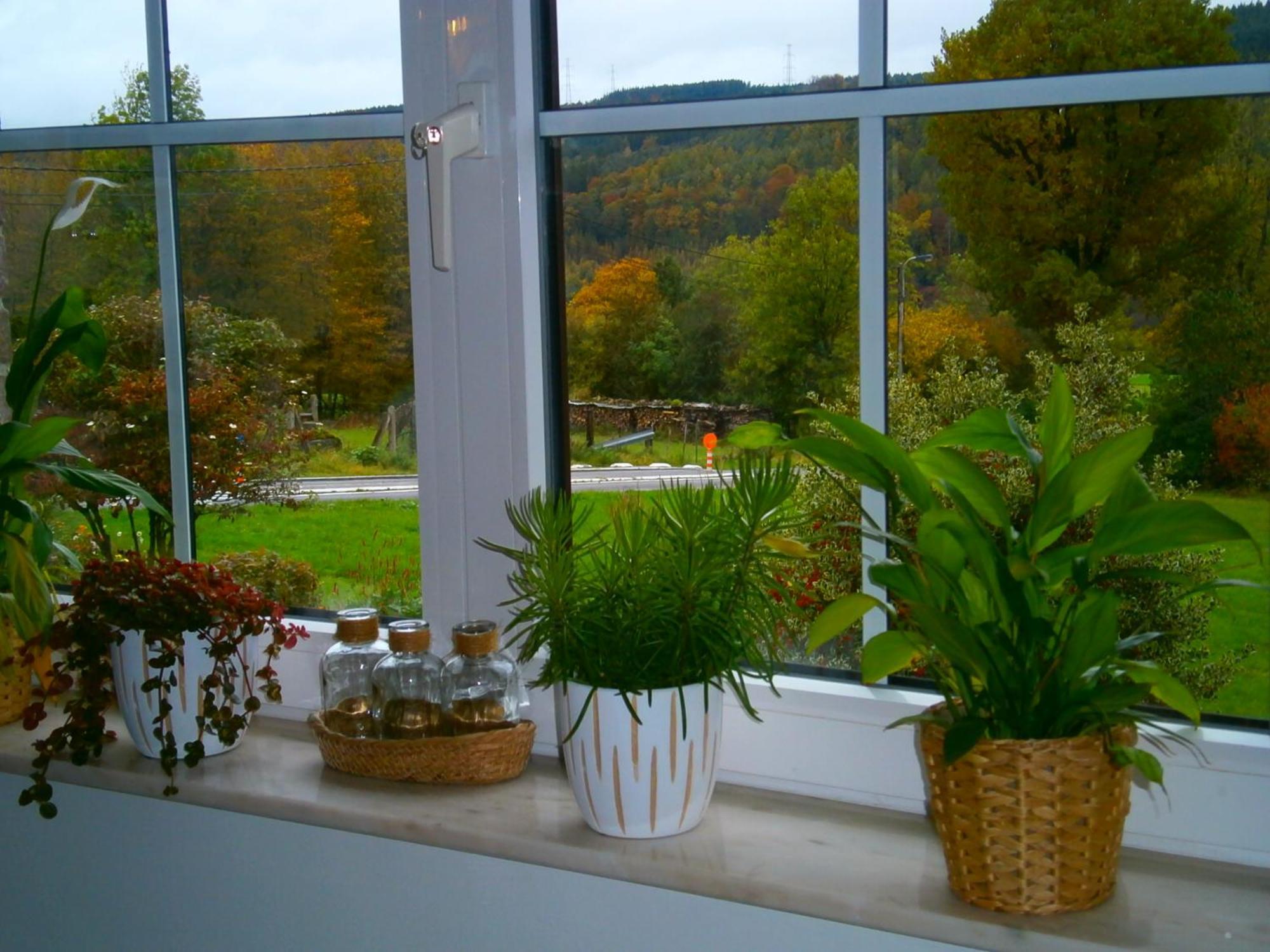 Le Renard'Or Bed & Breakfast Trois-Ponts Exterior photo