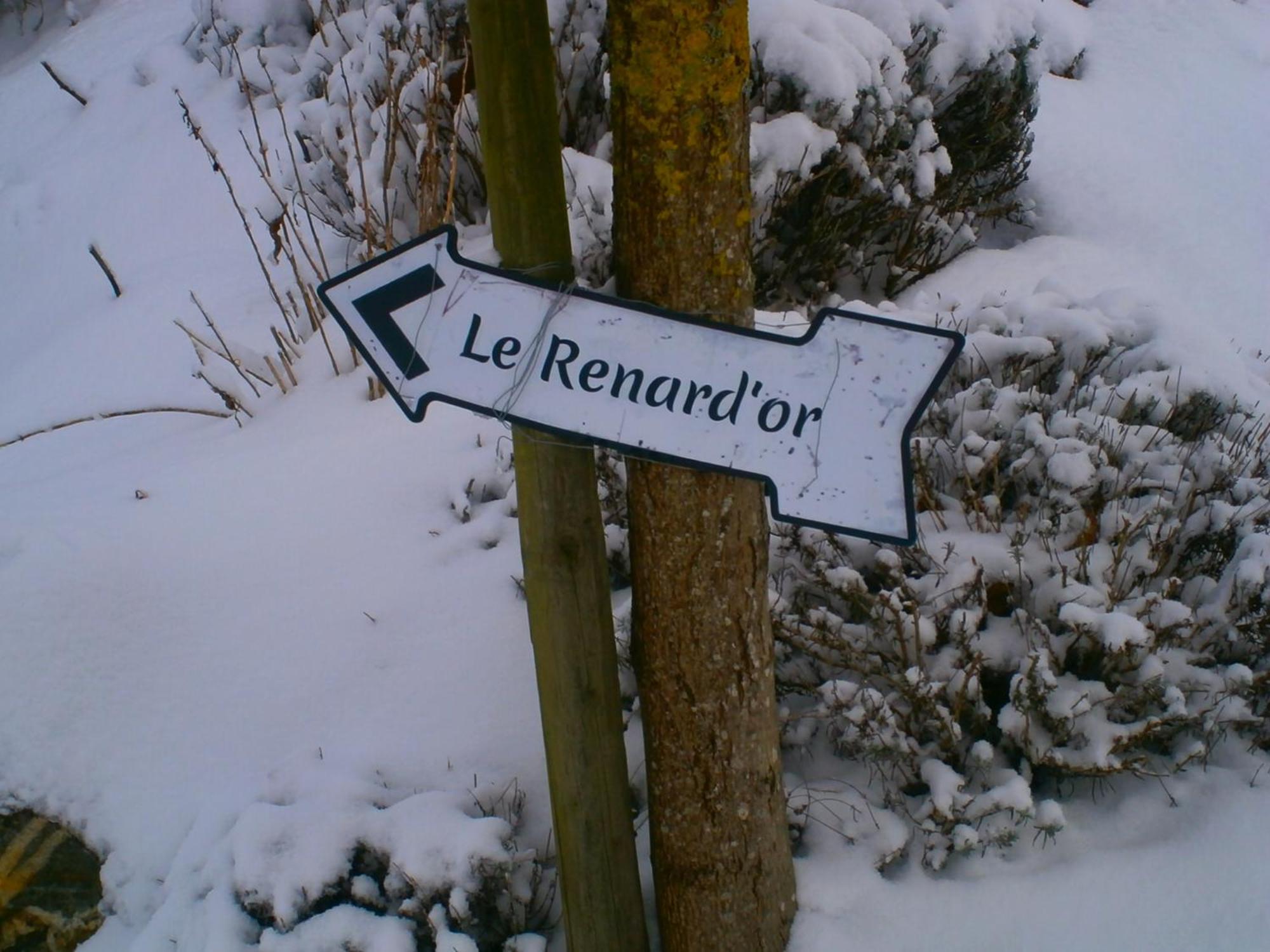 Le Renard'Or Bed & Breakfast Trois-Ponts Exterior photo