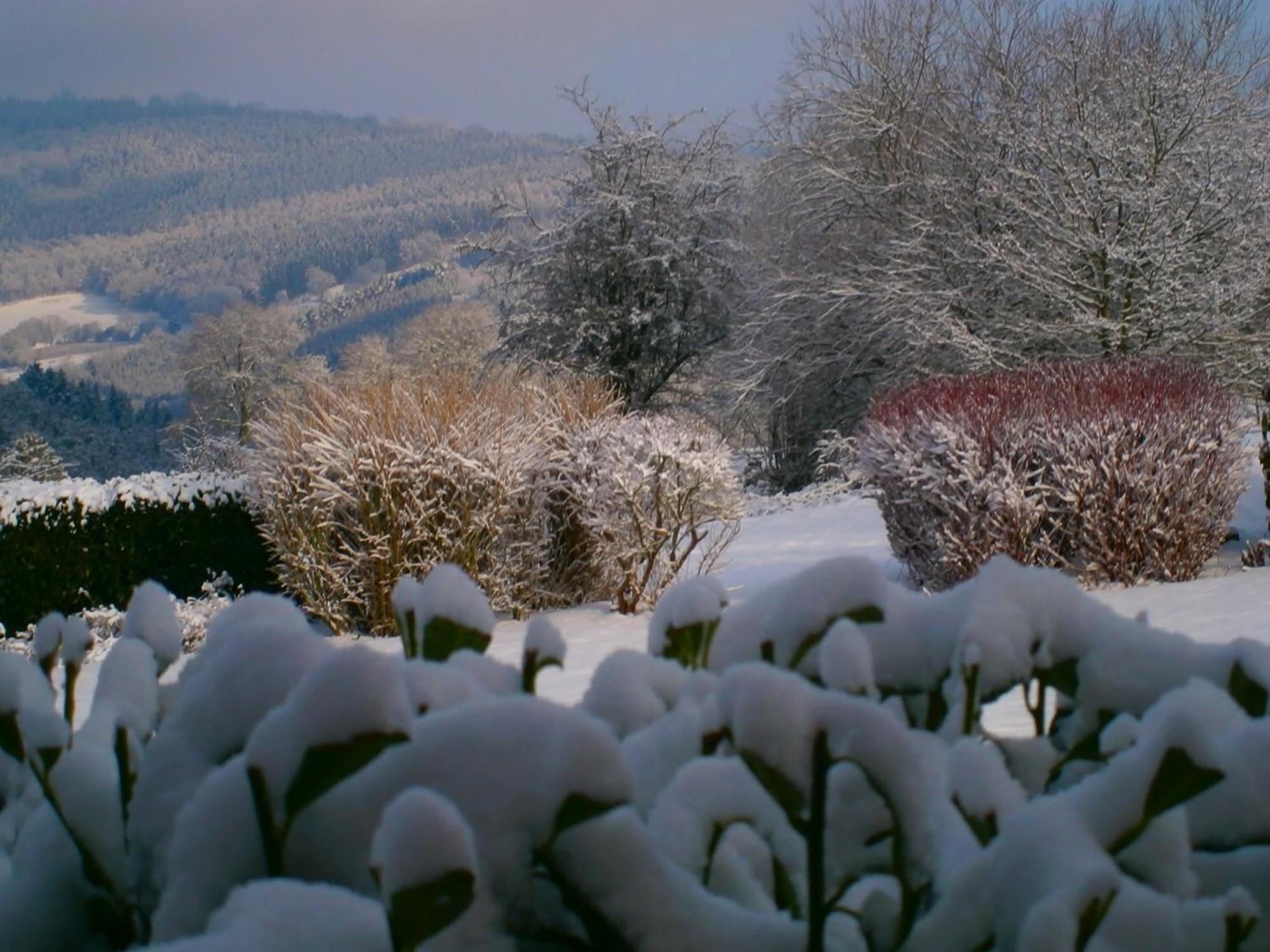 Le Renard'Or Bed & Breakfast Trois-Ponts Exterior photo